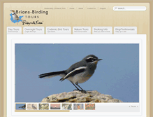 Tablet Screenshot of brians-birding.co.za